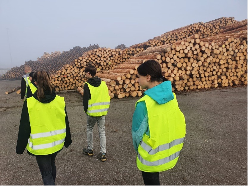Praktikanten im Sägewerk