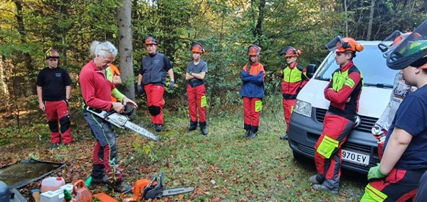 Schulung an der Kettensäge